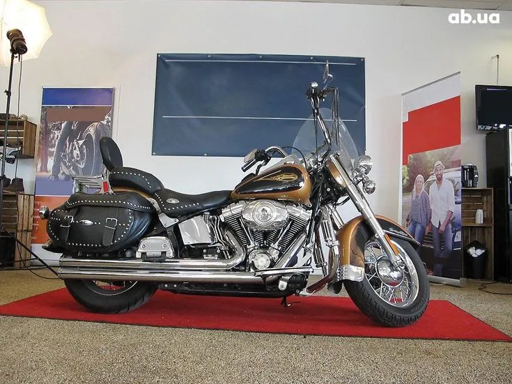 Harley-Davidson FLSTC Image 7